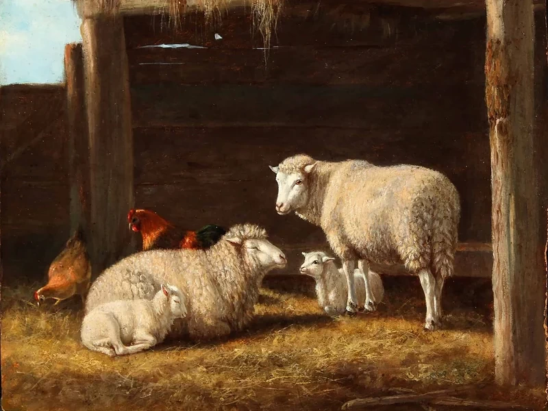 1838-Caroline Morgan Clowes - Pecore e polli
